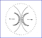AlaskaNB06173.jpg